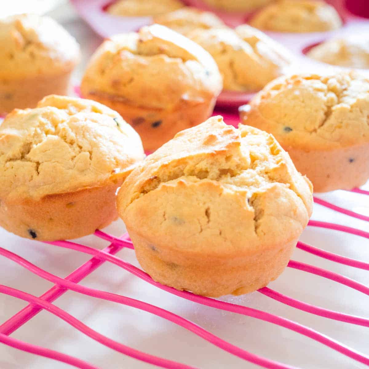 Passionfruit Muffins