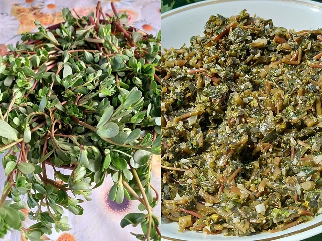 Danduri