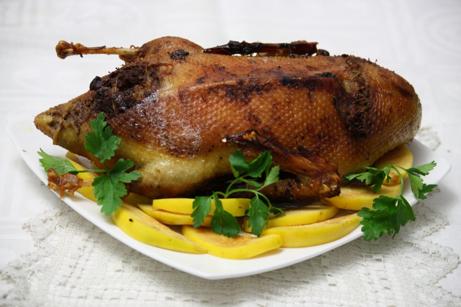 Festive Duck